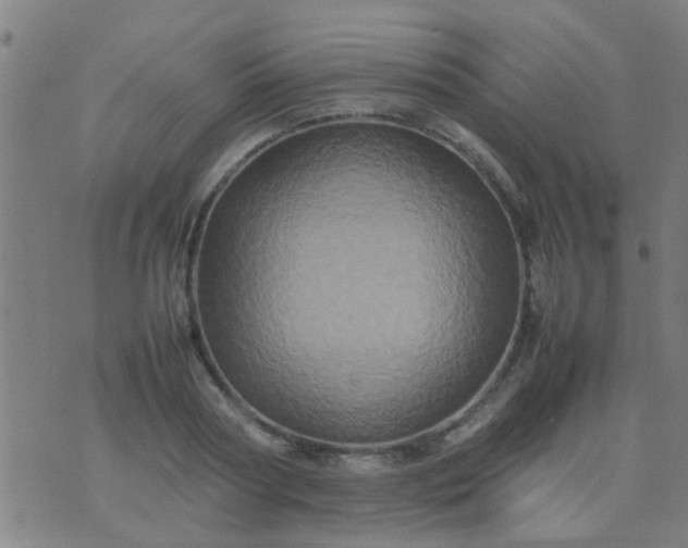 X0000074290794200609081851