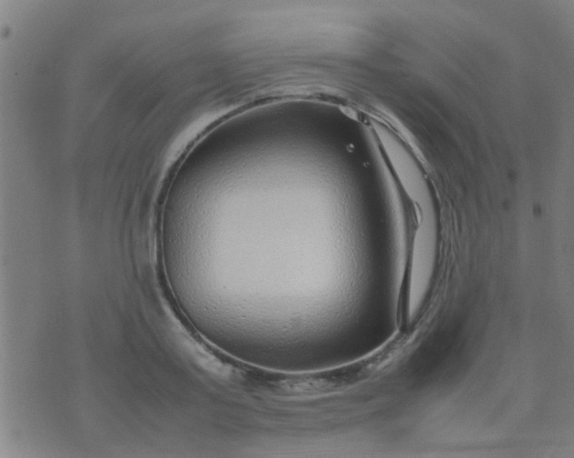 X0000074290795200609081851