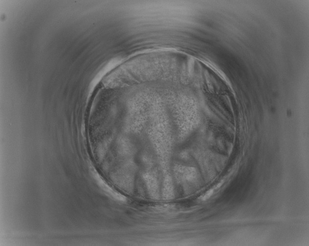 X0000074290797200609081851