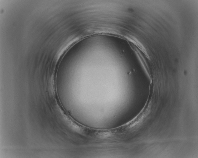 X0000074290798200609081851