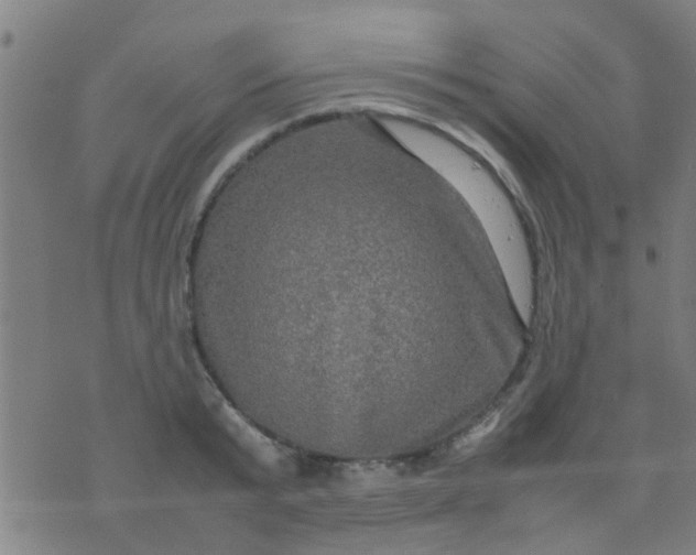 X0000074290799200609081850