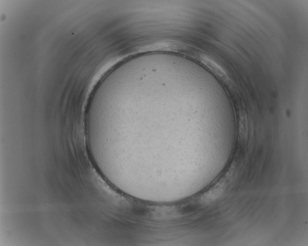 X0000074290800200609081850