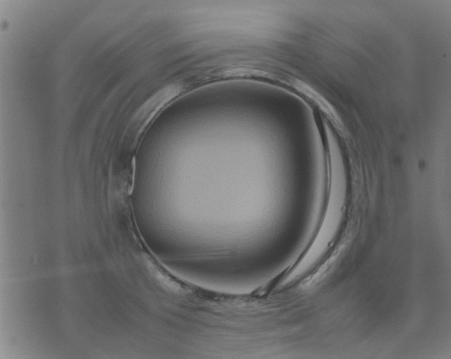 X0000074290801200609081850