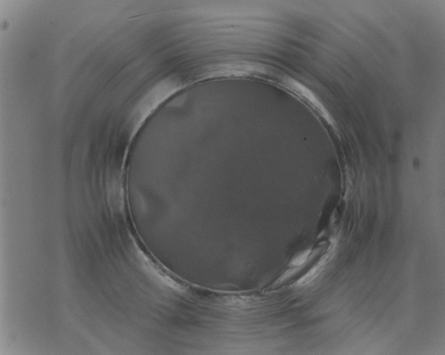 X0000074290802200609081850