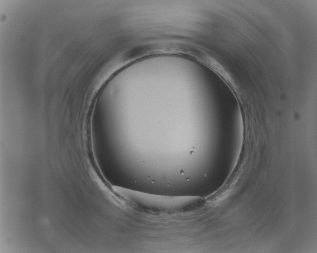 X0000074290803200609081850