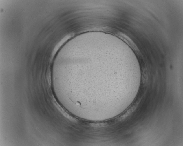 X0000074290804200609081850