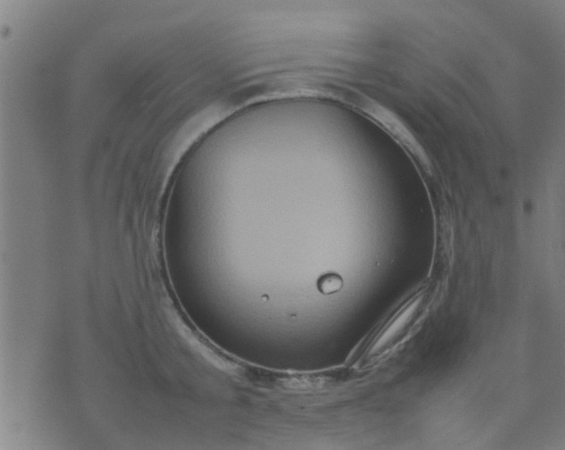 X0000074290805200609081850