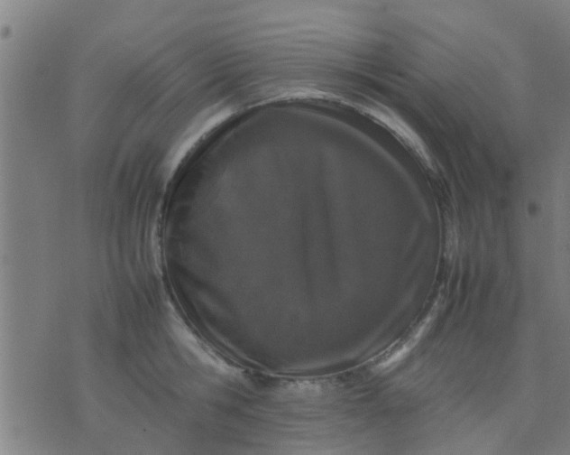 X0000074290806200609081850