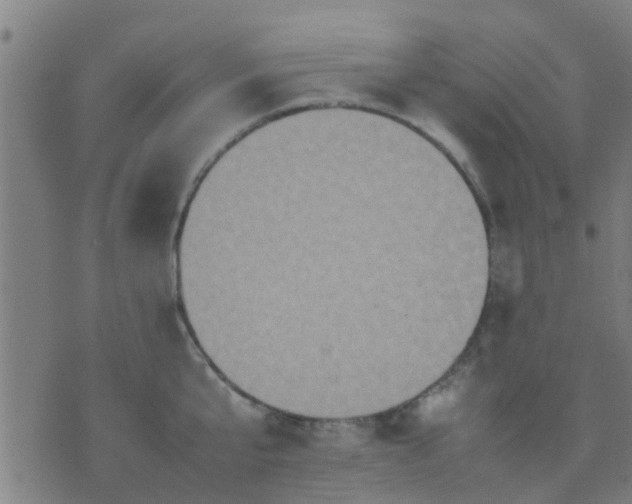 X0000074290807200609081850