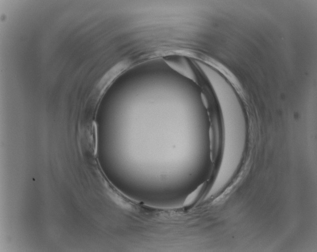 X0000074290809200609081850