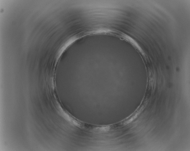 X0000074290810200609081850