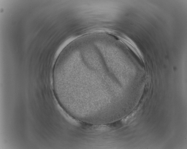 X0000074290811200609081850