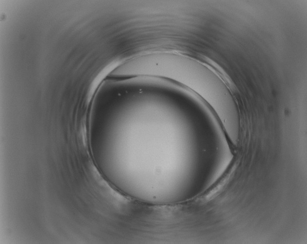 X0000074290812200609081850