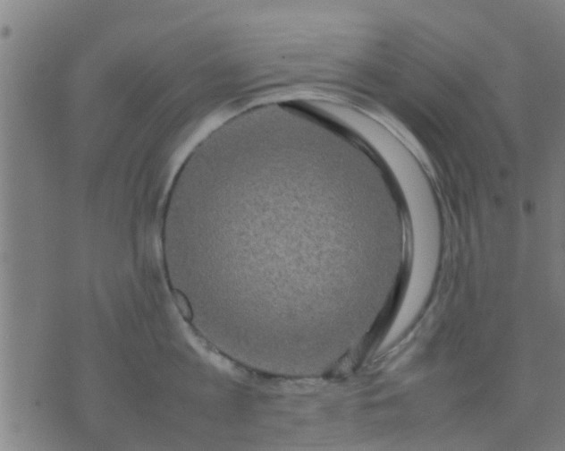 X0000074290813200609081850