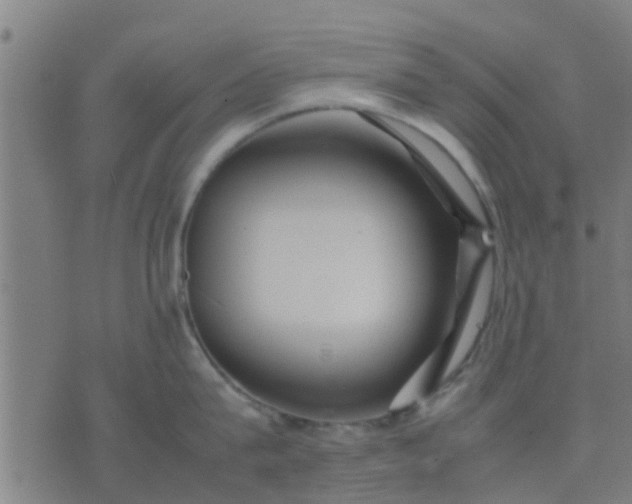 X0000074290815200609081850