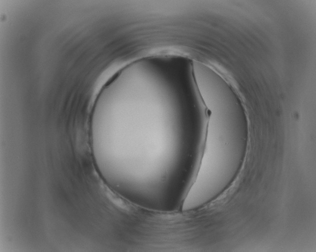 X0000074290816200609081850