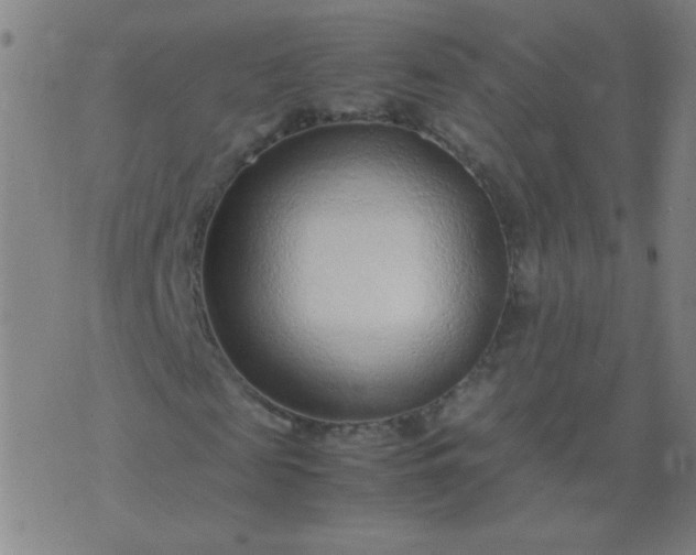 X0000074290817200609081849