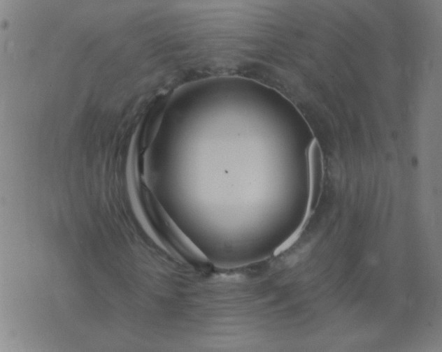 X0000074290818200609081849