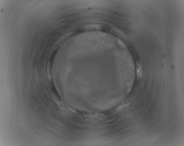 X0000074290819200609081849