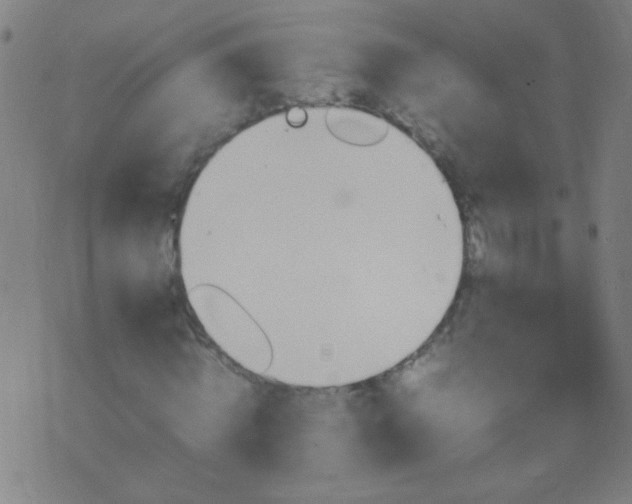 X0000074290820200609081849