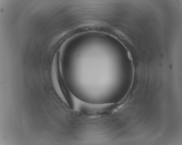 X0000074290822200609081850