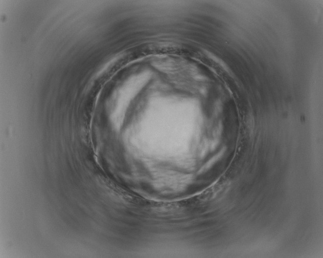 X0000074290823200609081850