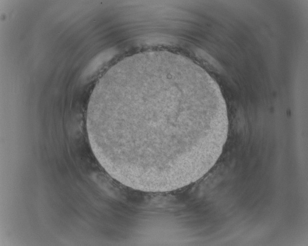 X0000074290824200609081850