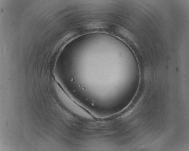 X0000074290825200609081850