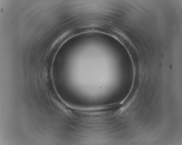 X0000074290826200609081850