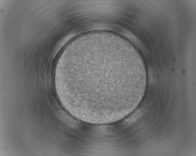 X0000074290828200609081850