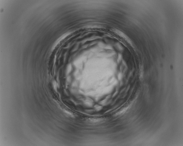 X0000074290829200609081850