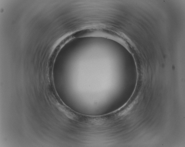 X0000074290830200609081850