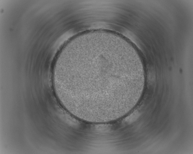 X0000074290832200609081850