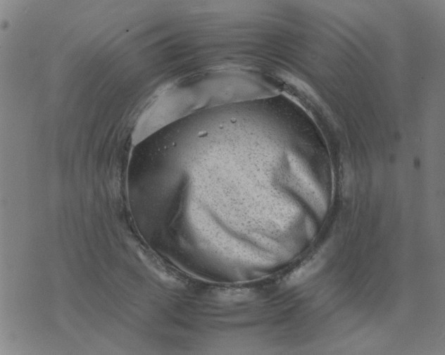 X0000074290833200609081850