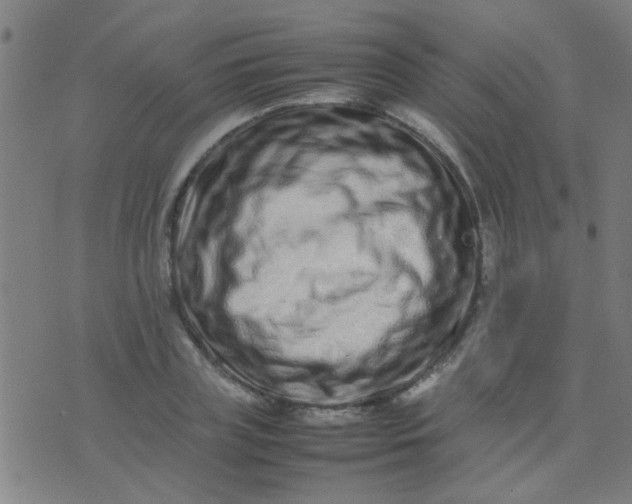 X0000074290835200609081850