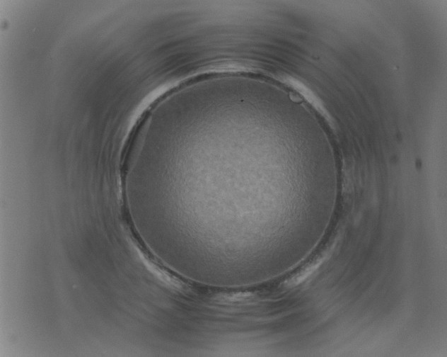 X0000074290837200609081850