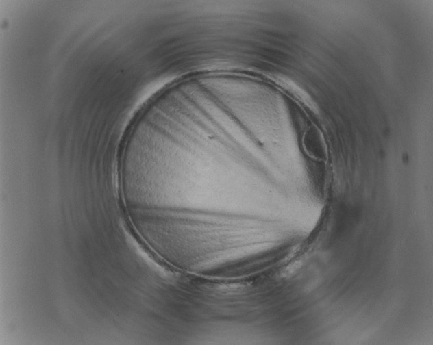 X0000074290839200609081850