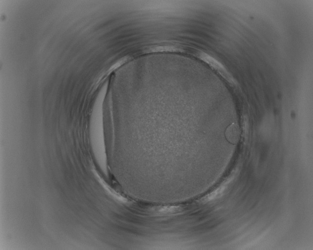 X0000074290841200609081850