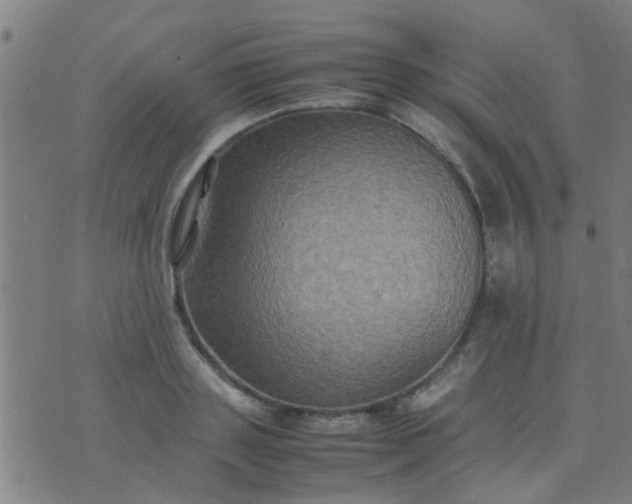 X0000074290843200609081850