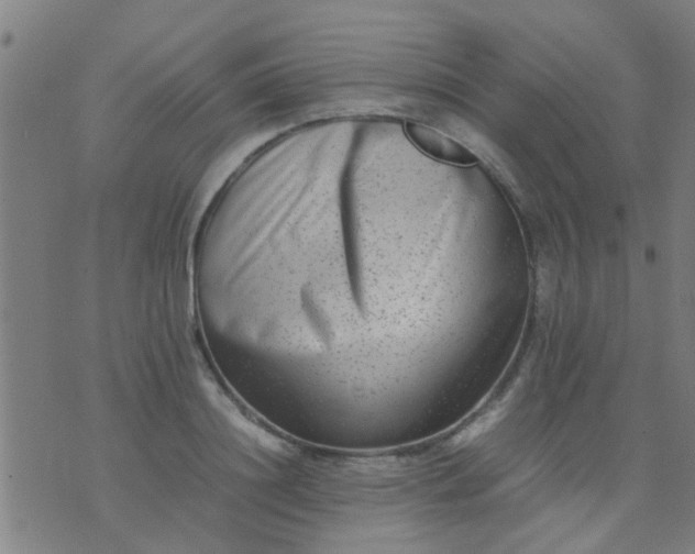 X0000074290844200609081850