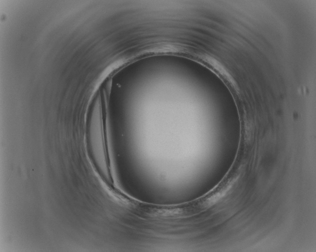 X0000074290845200609081850