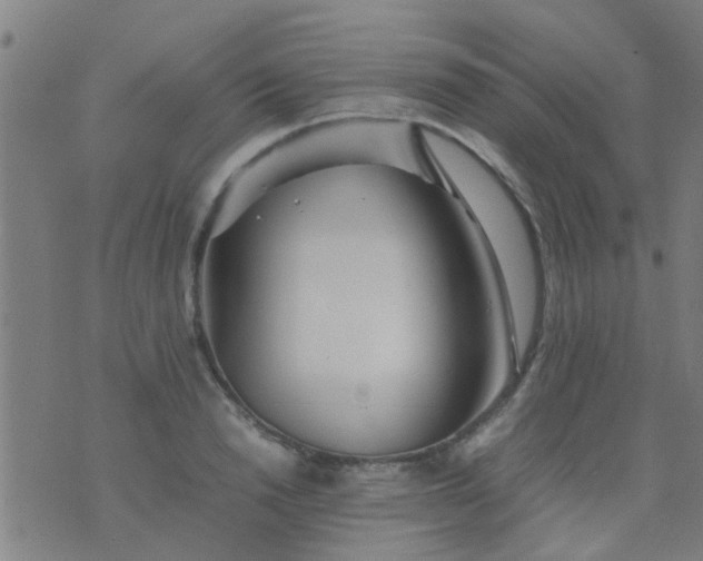 X0000074290846200609081850