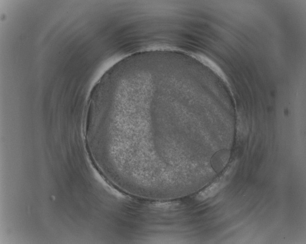 X0000074290847200609081850