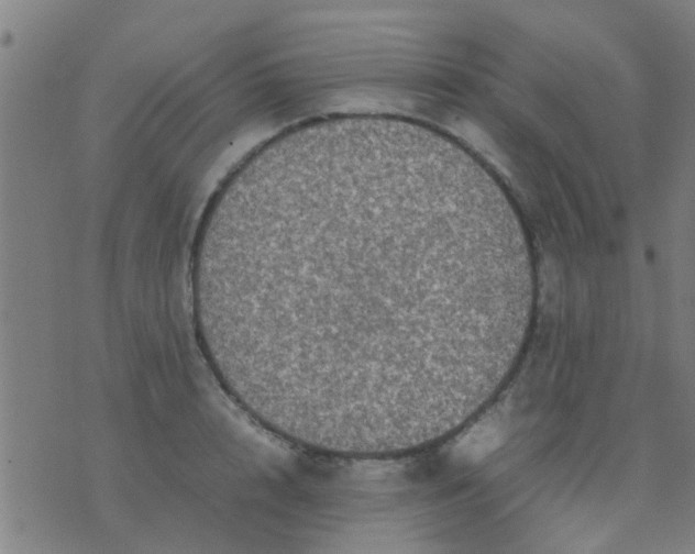 X0000074290848200609081850