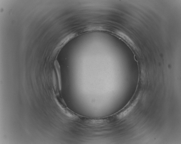 X0000074290849200609081850