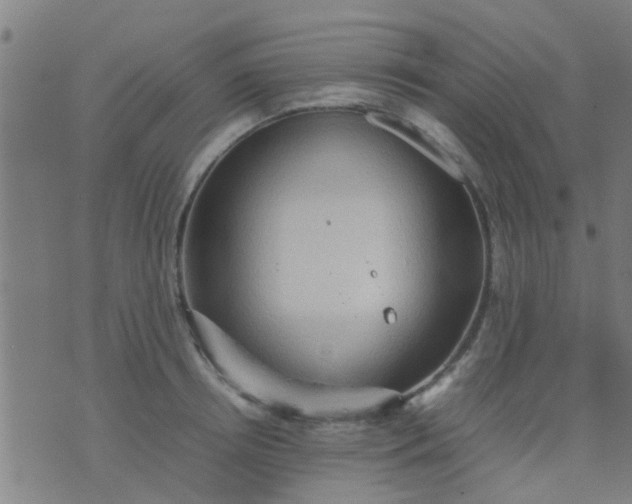 X0000074290850200609081850