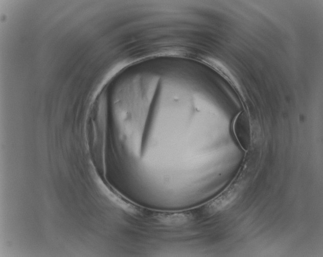 X0000074290851200609081850