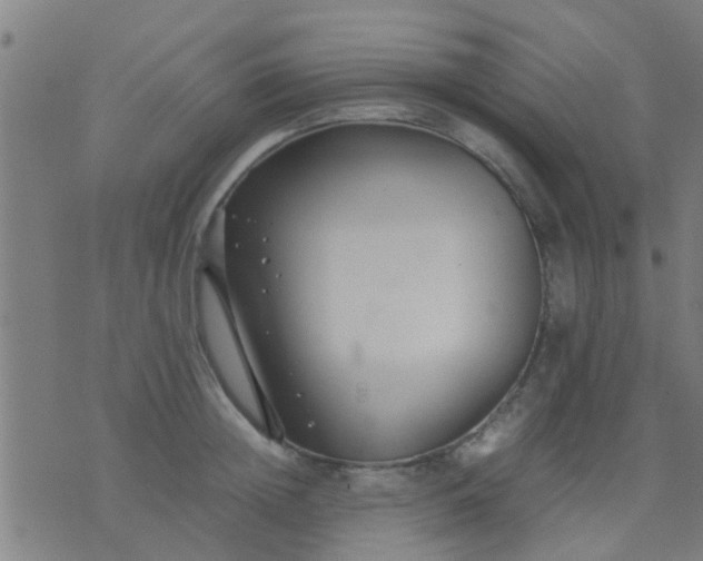 X0000074290852200609081850