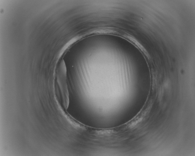 X0000074290853200609081850