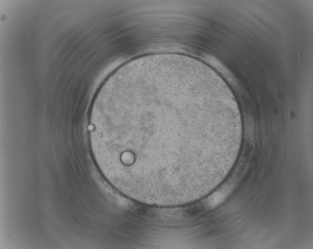 X0000074290856200609081850